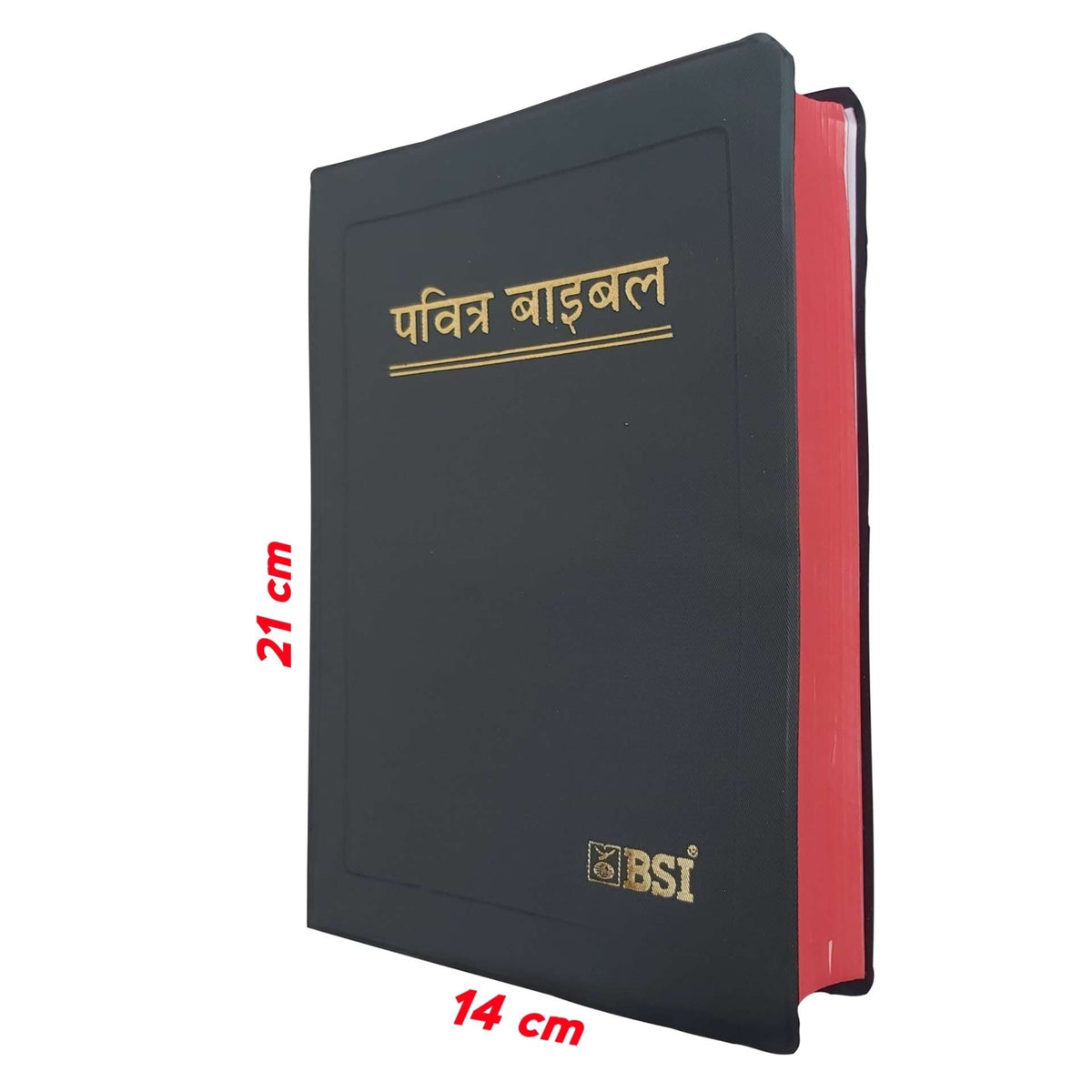 Holy Hindi Bible BSI  | Medium Size | Pavitra Bible In Hindi | New Edition