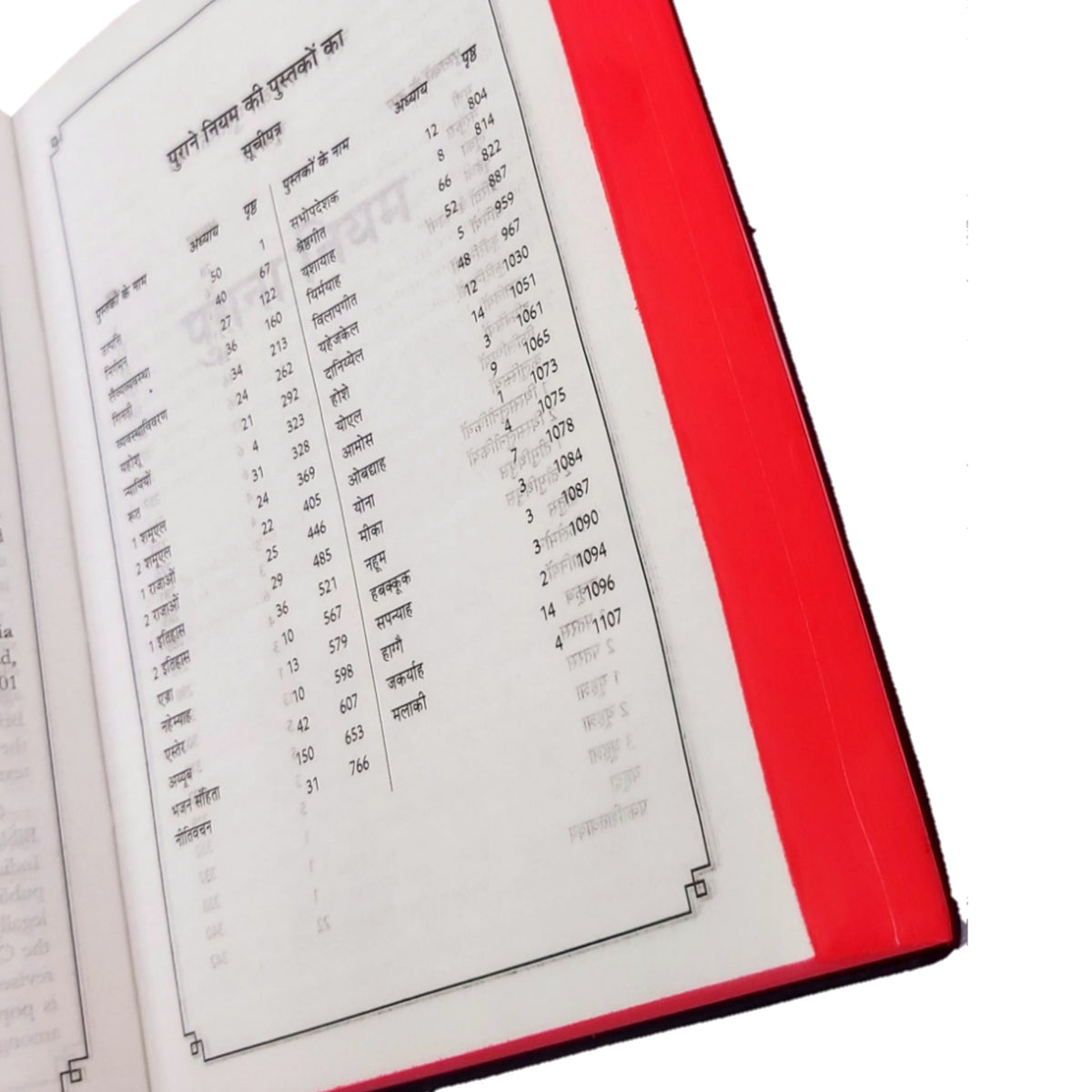 The Holy New Hindi Bible