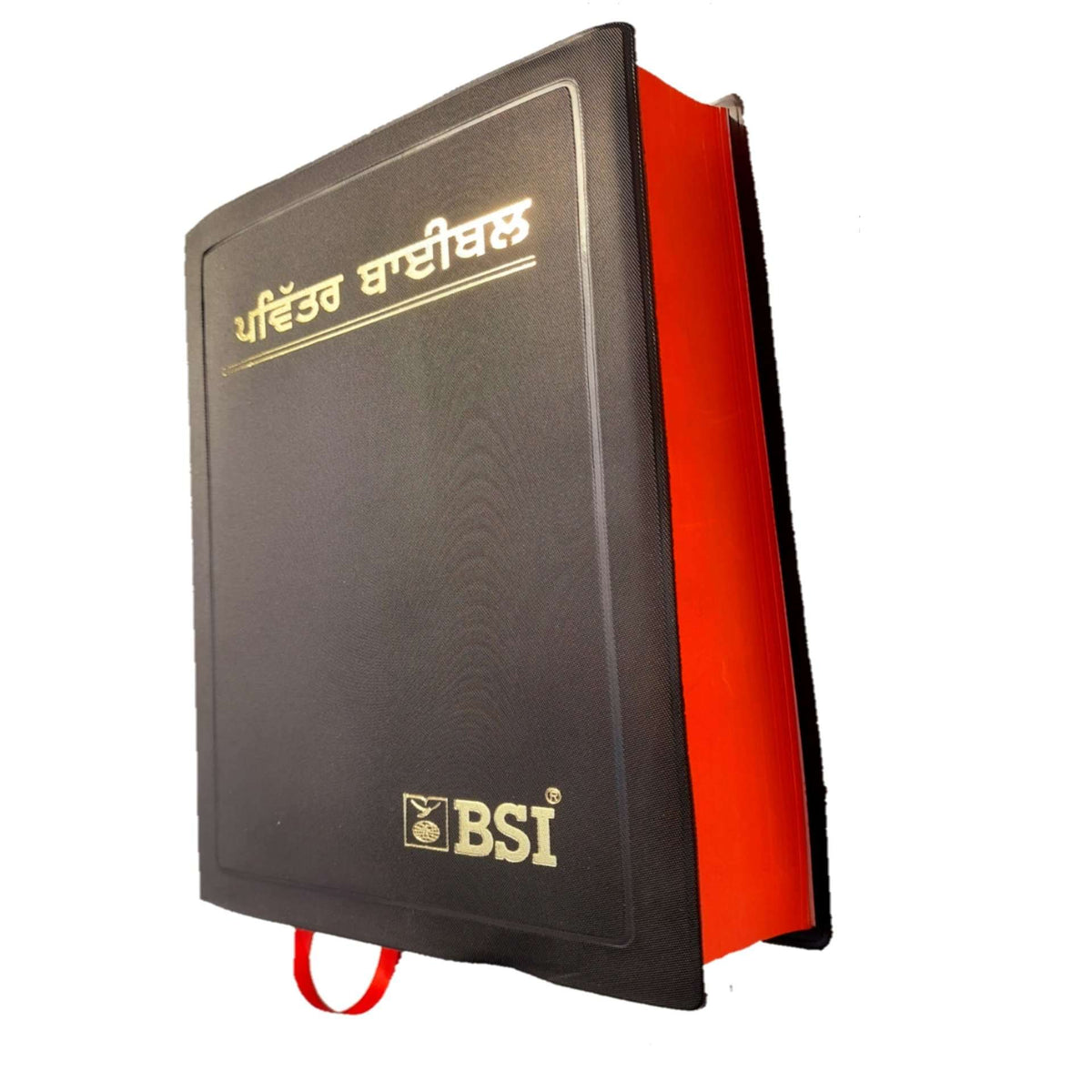 The Holy Punjabi New Edition Bible 2023