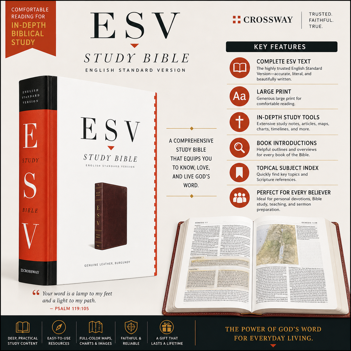 ESV Study Bible
