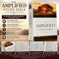 The Amplified Study Bible (AMP), 5,000+ Study Notes & Expanded Word Meanings (Zondervan)