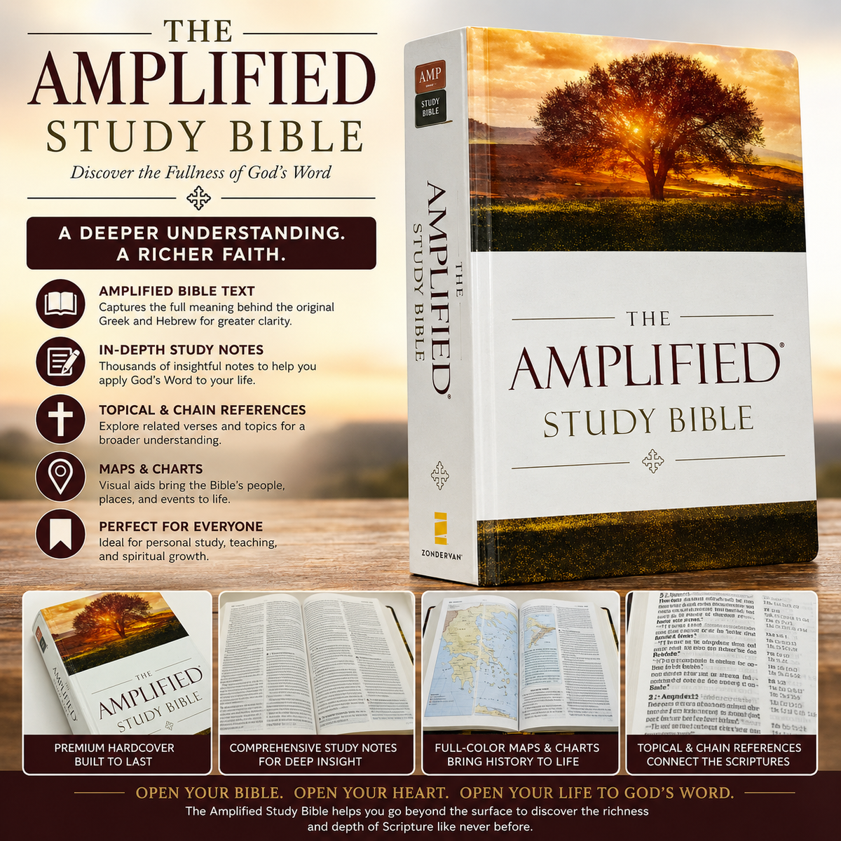 The Amplified Study Bible (AMP), 5,000+ Study Notes & Expanded Word Meanings (Zondervan)
