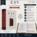 ESV Study Bible, Large Print, Hardcover | Comfortable Reading for In-Depth Biblical Study