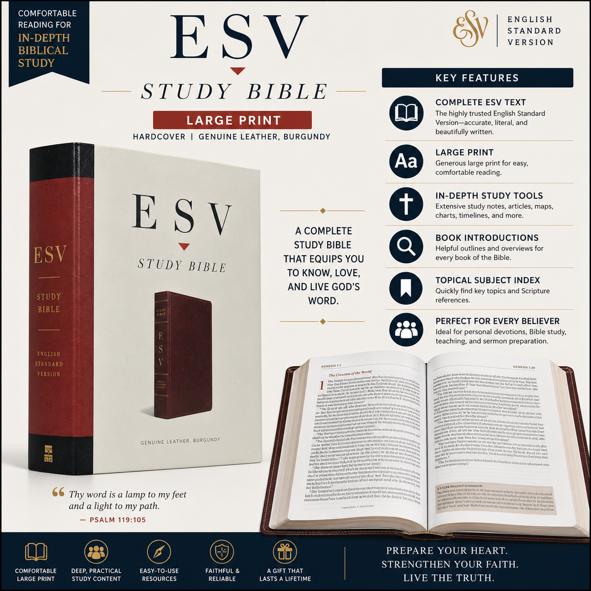 ESV Study Bible, Large Print, Hardcover | Comfortable Reading for In-Depth Biblical Study