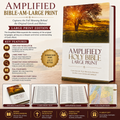 Amplified Bible (AMP) Large Print Brown Bible for Study and Devotion