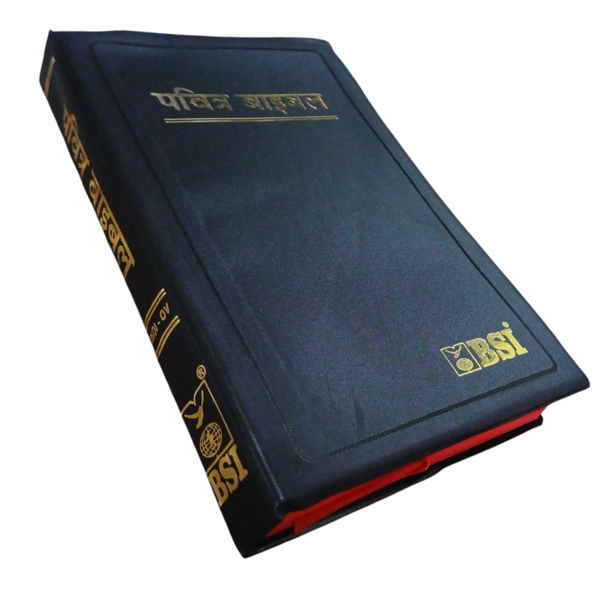 Holy Bible In Hindi |New Edition |Hindi Pavitra Bible